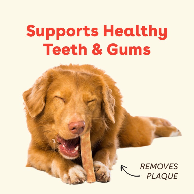 Pupford Yak Cheese Chews for Dogs & Teething Puppies, Natural, Long-Lasting Himalayan Dental Treats (3 Pack Medium) - Image 3